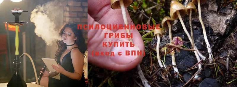 Галлюциногенные грибы Cubensis  Анадырь 